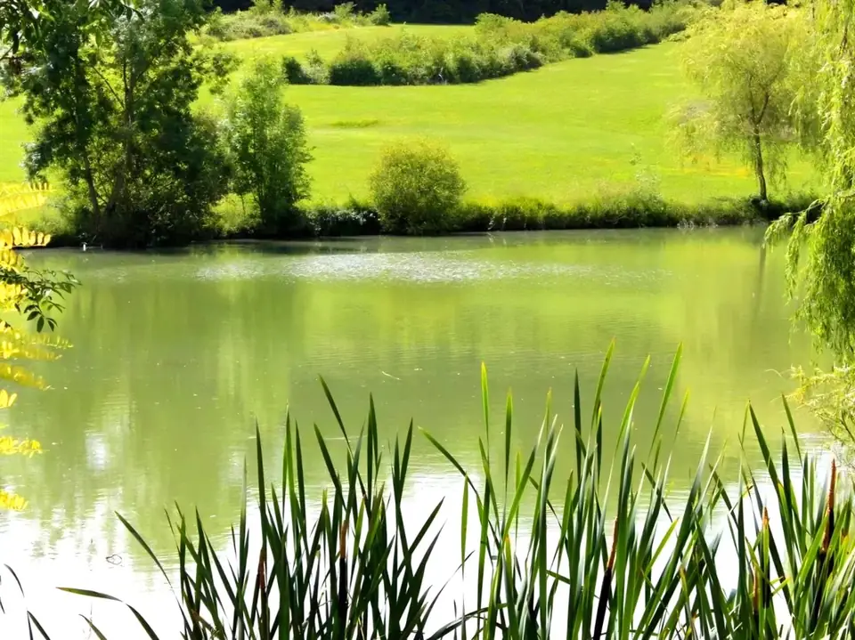 Private fishing lake below the farmhouse in Thénac